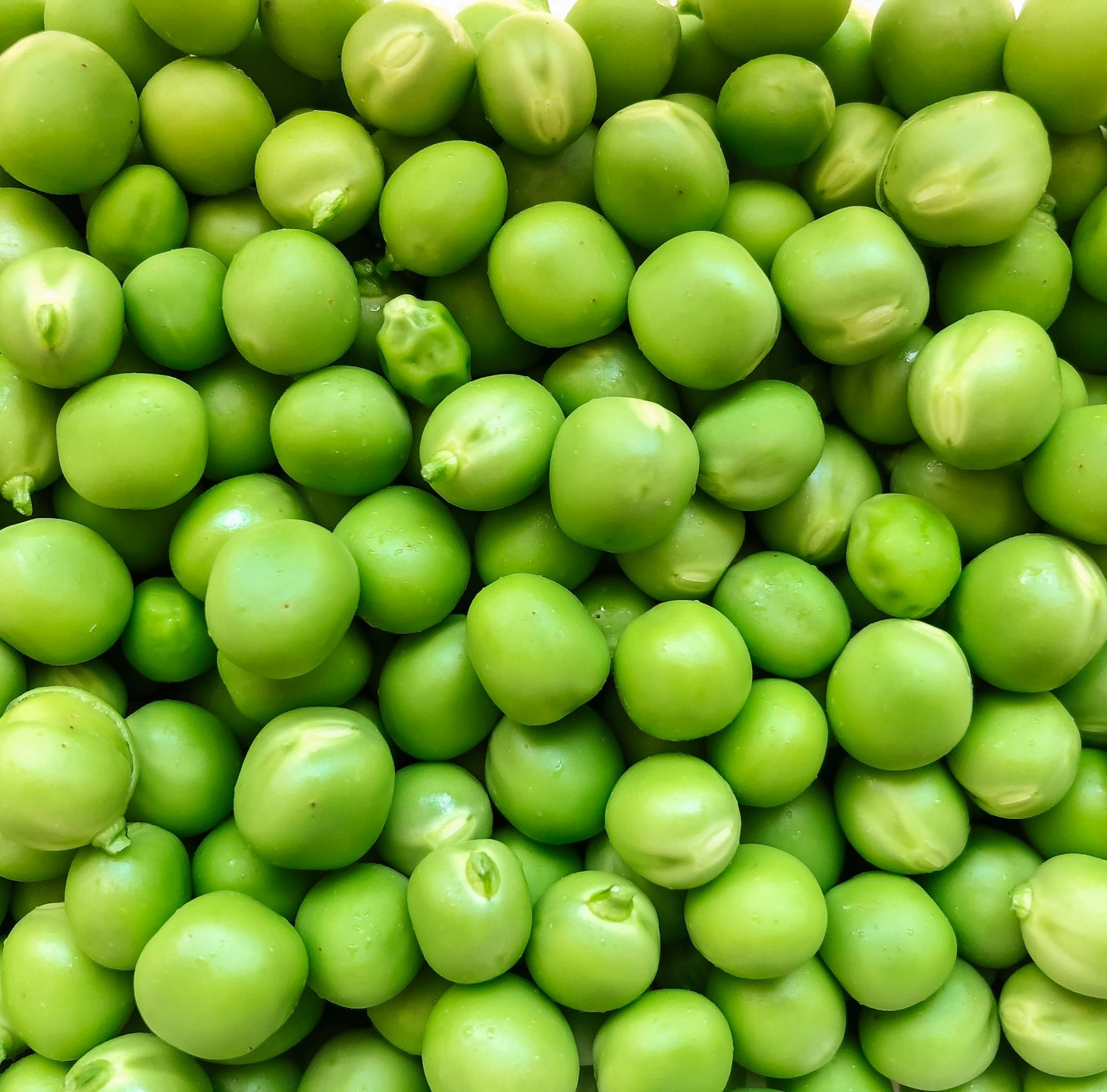 Green Peas.jpg